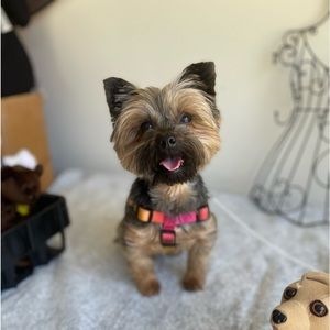 Meet your Posher, Lynn